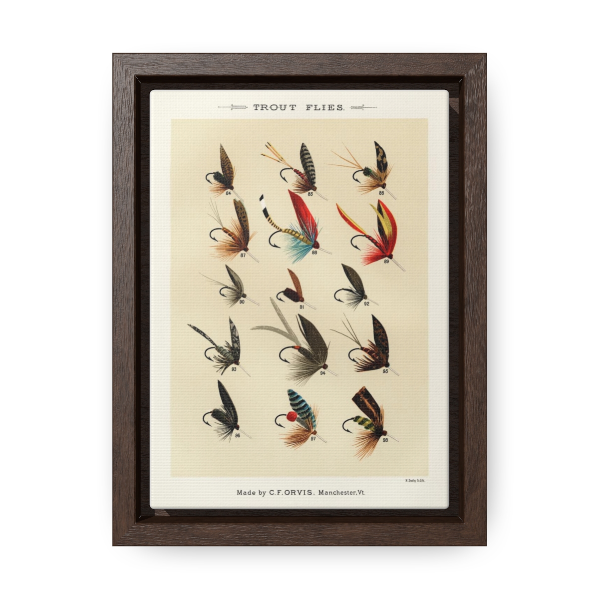Vintage Trout Flies Canvas with Gallery Frame