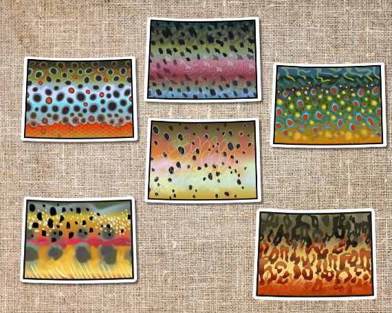 Fly fishing sticker waterproof trout sticker brook trout rainbow trout brown trout tiger trout golden trout cutthroat trout Simms Patagonia fishing gift for men women Made in USA veteran Orvis Colorado