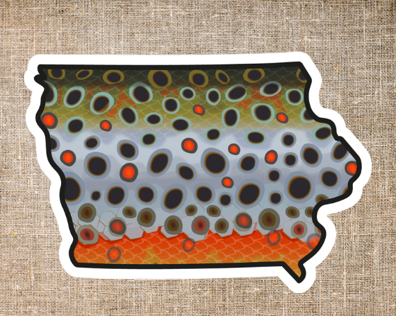 Fly fishing sticker waterproof trout sticker brook trout rainbow trout brown trout tiger trout golden trout cutthroat trout Simms Patagonia fishing gift for men women Made in USA veteran Orvis Iowa