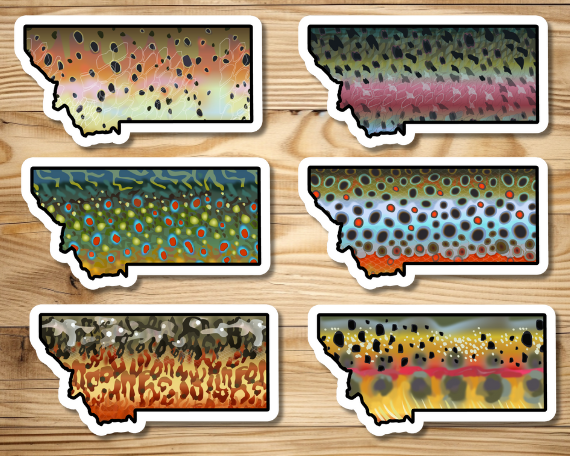 Fly fishing sticker waterproof trout sticker brook trout rainbow trout brown trout tiger trout golden trout cutthroat trout Simms Patagonia fishing gift for men women Made in USA veteran Orvis Montana