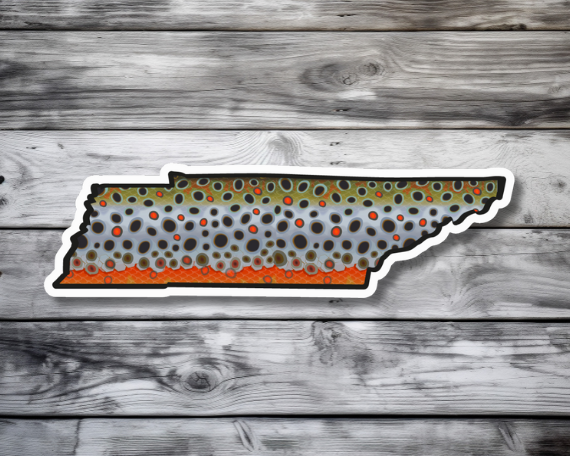 Fly fishing sticker waterproof trout sticker brook trout rainbow trout brown trout tiger trout golden trout cutthroat trout Simms Patagonia fishing gift for men women Made in USA veteran Orvis Tennessee