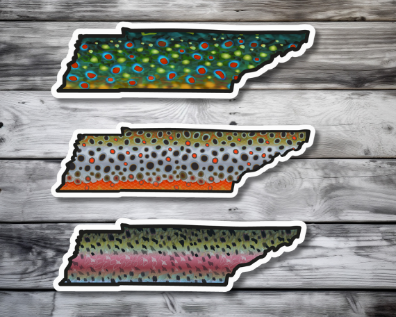 Fly fishing sticker waterproof trout sticker brook trout rainbow trout brown trout tiger trout golden trout cutthroat trout Simms Patagonia fishing gift for men women Made in USA veteran Orvis Tennessee