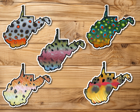 Fly fishing sticker waterproof trout sticker brook trout rainbow trout brown trout tiger trout golden trout cutthroat trout Simms Patagonia fishing gift for men women Made in USA veteran Orvis West Virginia