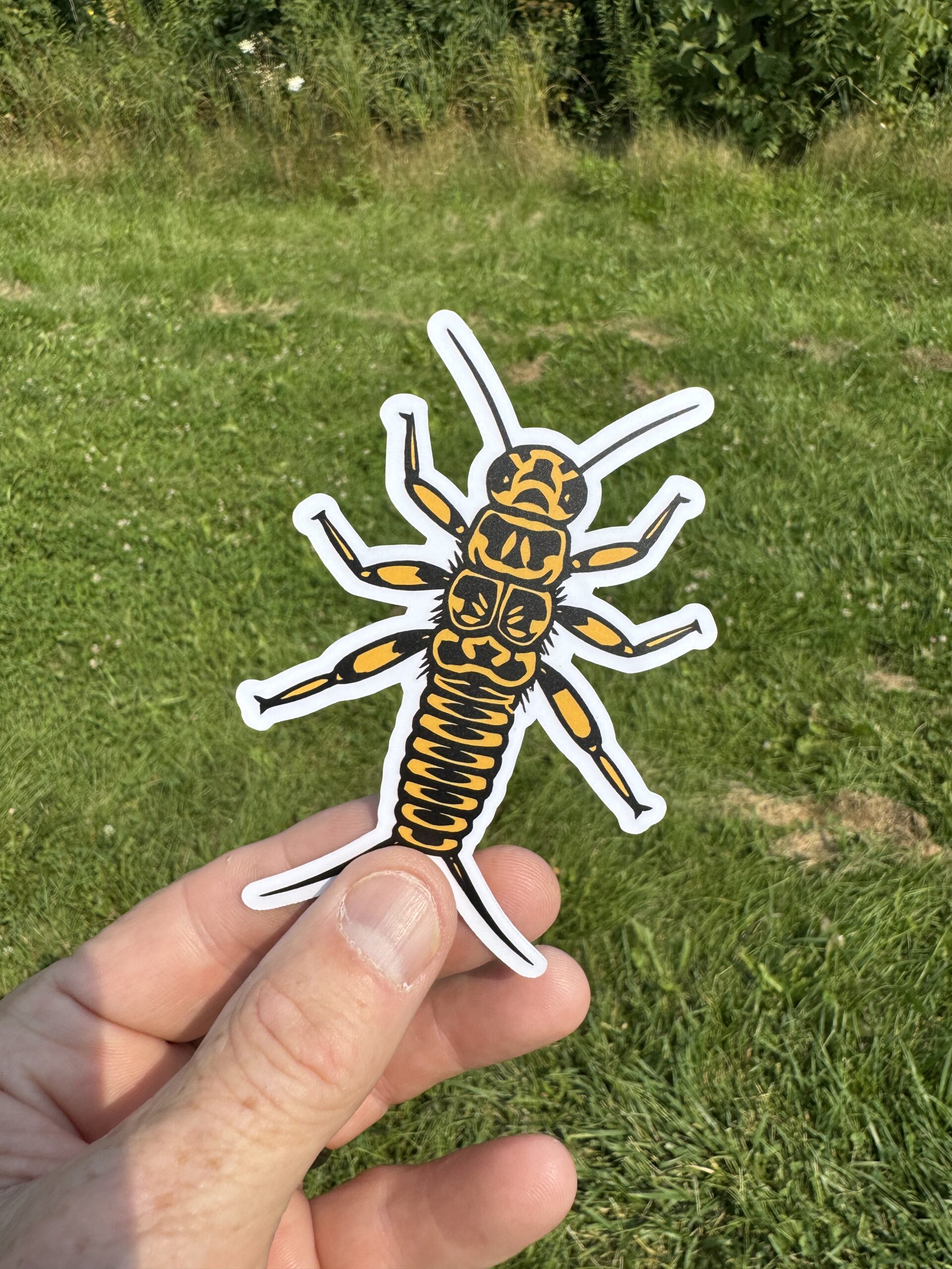 Golden Stone Fly Nymph Fly Fishing Sticker, Die Cut Vinyl Sticker with UV Protection, Looks Great on Yeti, Hydroflask, Laptop, or Wherever!